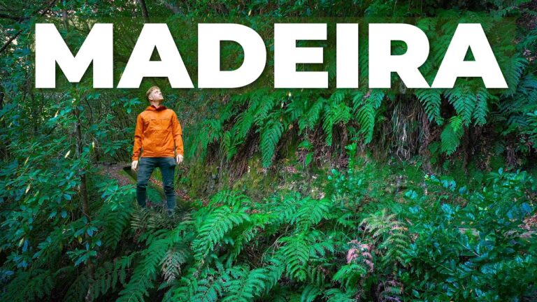 I Found HIKING Paradise IN MADEIRA!